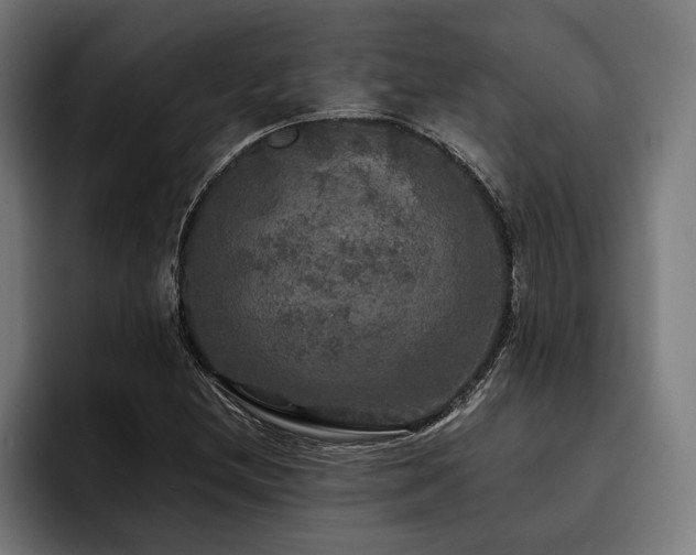 X0000093401212200710121052