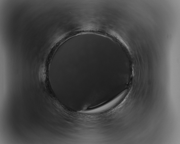 X0000093401213200710121052