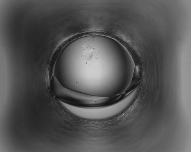 X0000093401214200710121052