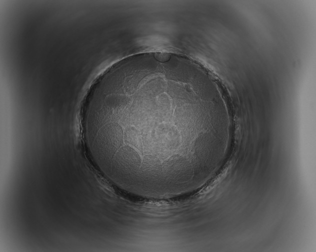X0000093401215200710121052