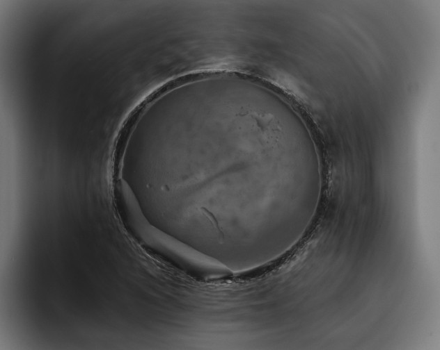 X0000093401216200710121052