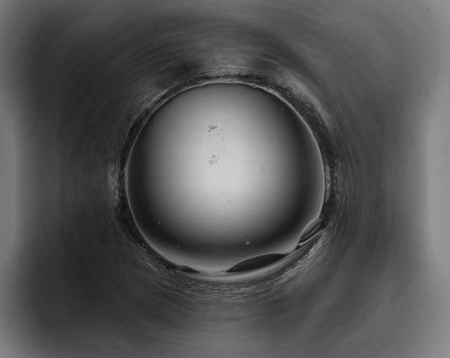X0000093401217200710121052