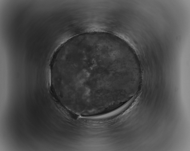 X0000093401219200710121052