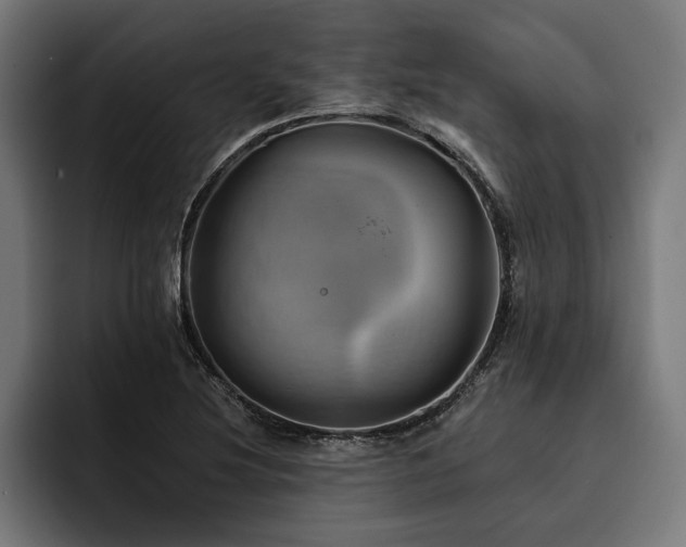 X0000093401220200710121052