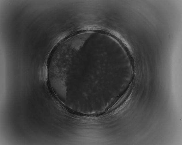 X0000093401221200710121052
