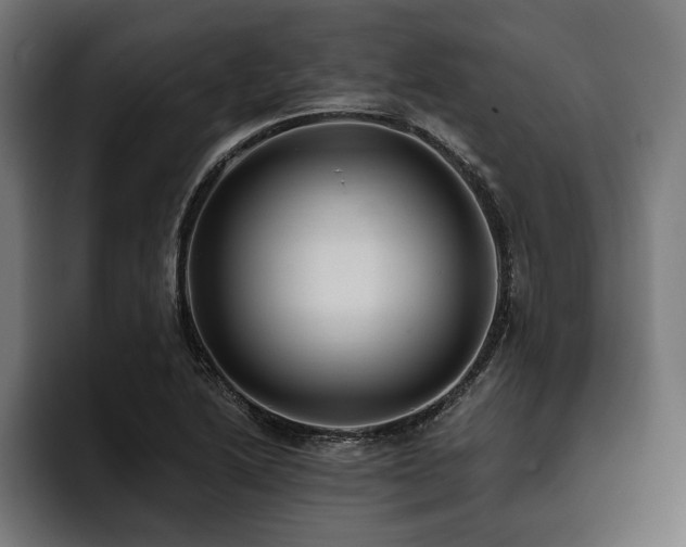 X0000093401222200710121052