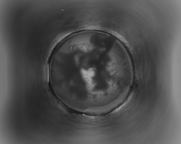 X0000093401223200710121052