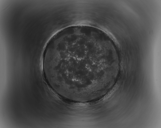 X0000093401224200710121052