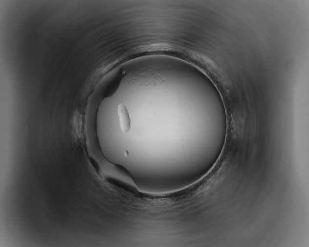 X0000093401225200710121052
