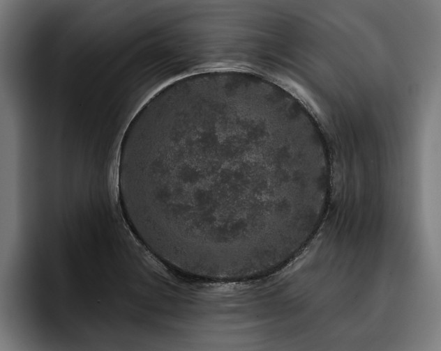 X0000093401228200710121052