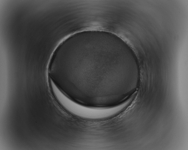 X0000093401230200710121052