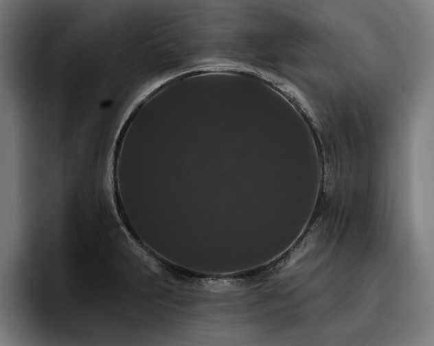X0000093401231200710121052