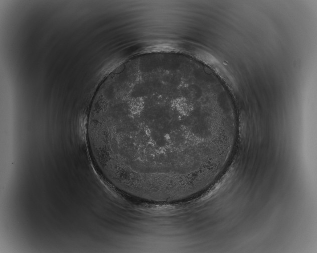 X0000093401233200710121052