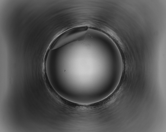 X0000093401234200710121052
