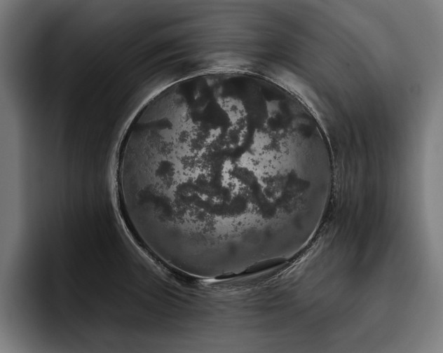 X0000093401235200710121052