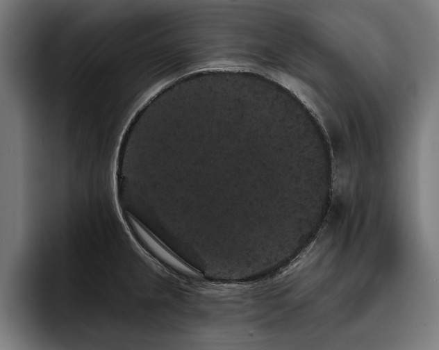 X0000093401237200710121052