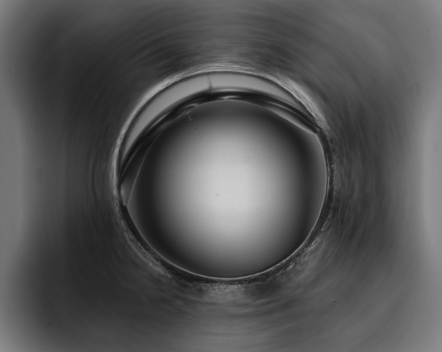 X0000093401238200710121053