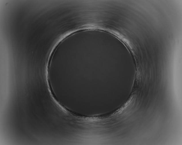 X0000093401239200710121053