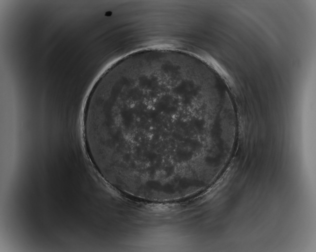 X0000093401240200710121053