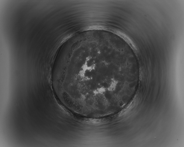 X0000093401241200710121053
