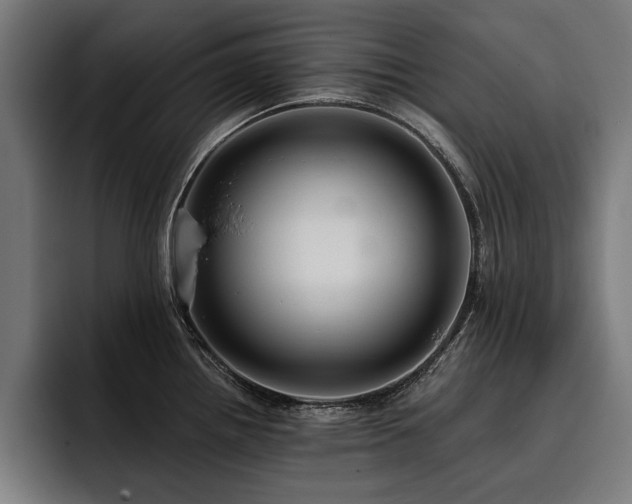 X0000093401242200710121053