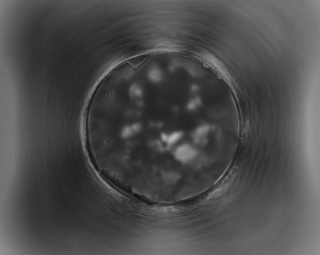 X0000093401243200710121053