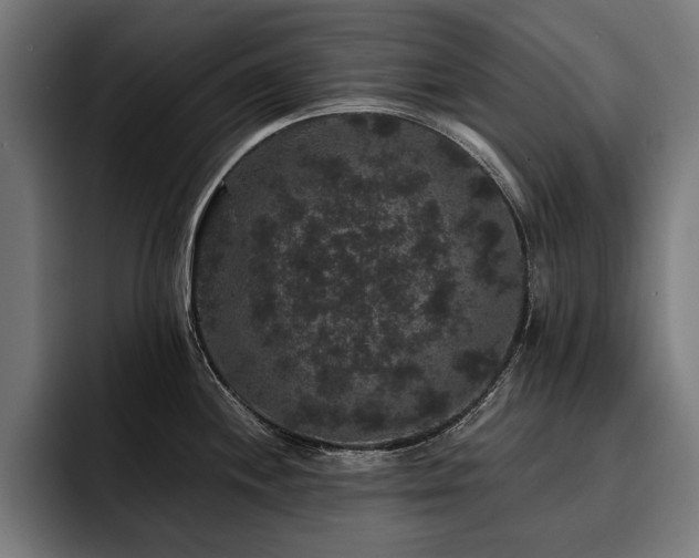 X0000093401244200710121053
