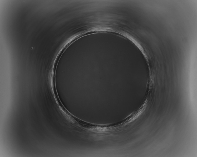 X0000093401245200710121053
