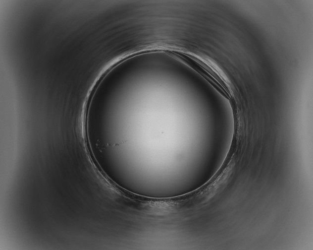 X0000093401246200710121053