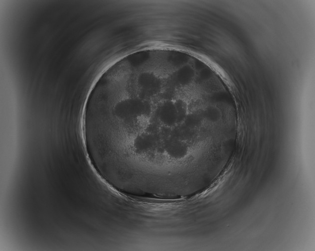 X0000093401247200710121053
