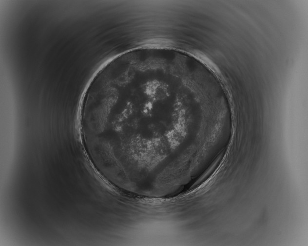 X0000093401248200710121053
