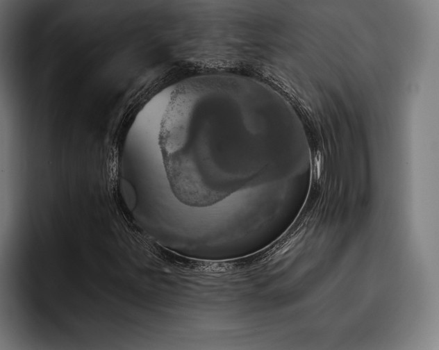 X0000093401251200710121052
