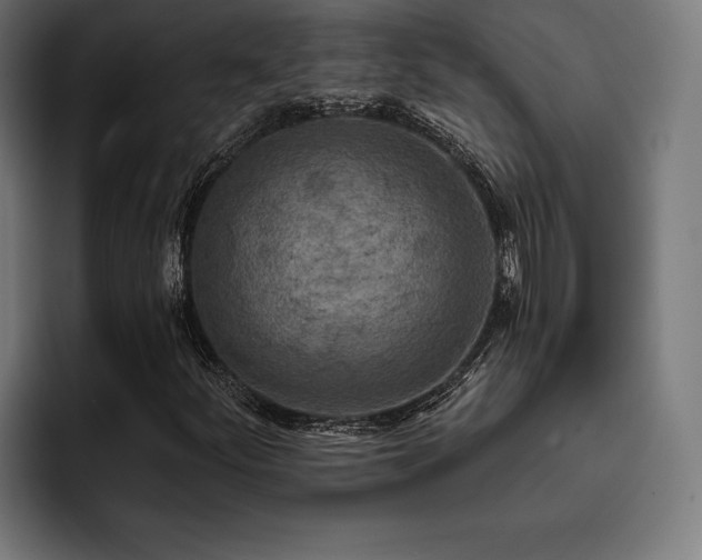 X0000093401252200710121052