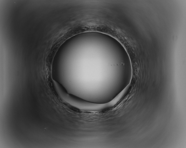 X0000093401253200710121052