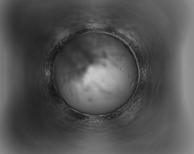 X0000093401254200710121052
