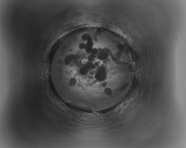 X0000093401255200710121052