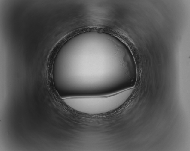 X0000093401256200710121052