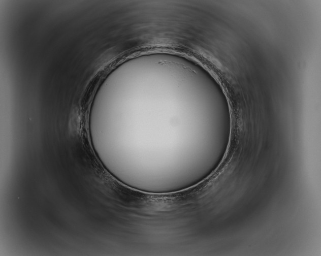 X0000093401258200710121052