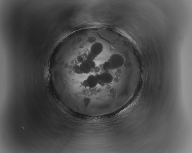X0000093401259200710121052