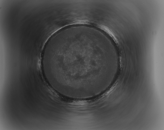 X0000093401260200710121052