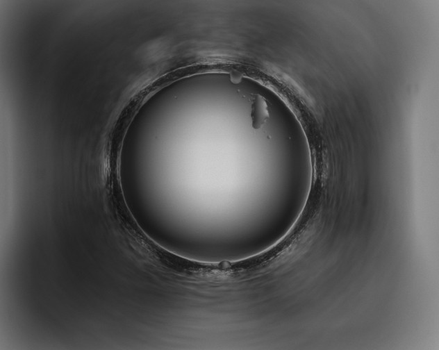X0000093401261200710121052