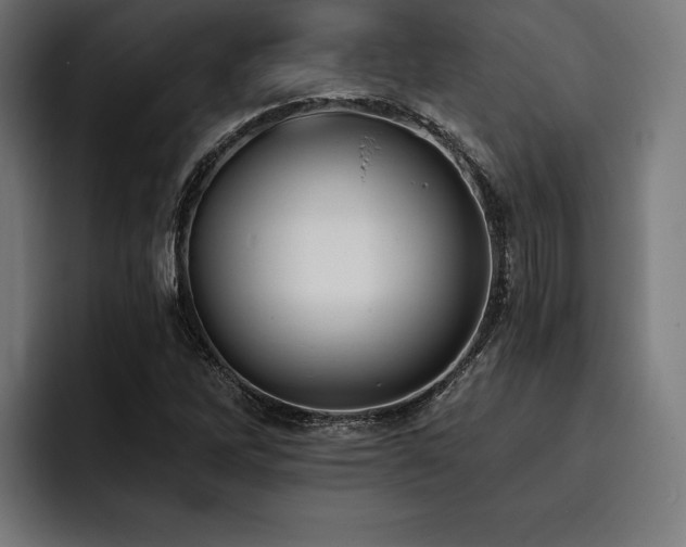 X0000093401262200710121052