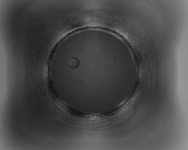 X0000093401263200710121052