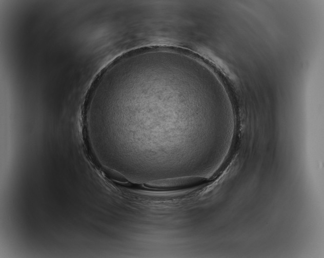 X0000093401264200710121052