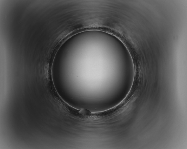 X0000093401265200710121052