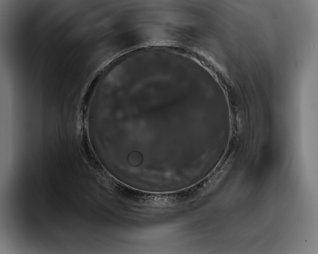 X0000093401266200710121052