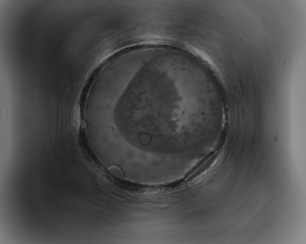 X0000093401267200710121052