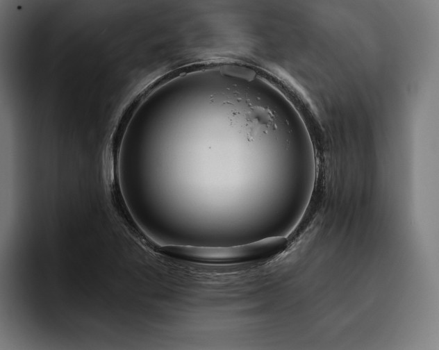 X0000093401269200710121052