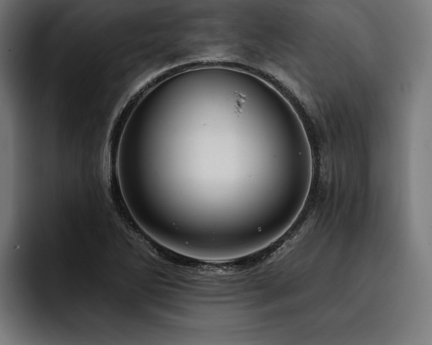 X0000093401270200710121052