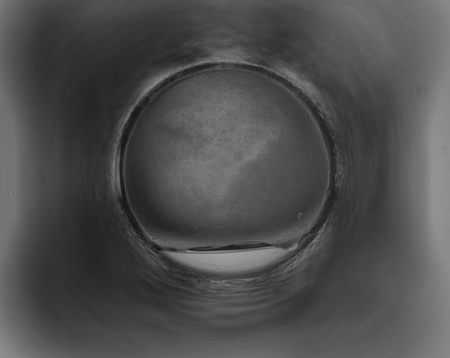 X0000093401272200710121052